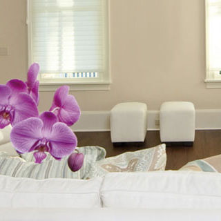 Decorative paint - RINFRESCA - OIKOS colore e materia per l'architettura - inside / for wall / acrylic resin-based