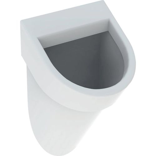 Ceramic urinal - 235900000 - GEBERIT - wall-hung / commercial