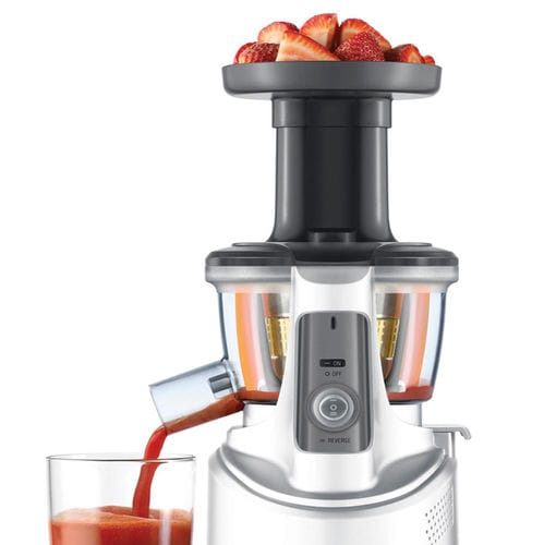 Breville bjs600xl fountain crush masticating slow juicer best sale