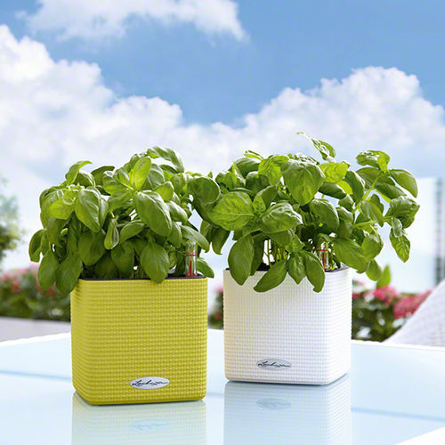 Plastic plant pot - CUBE COLOR  - Lechuza - free-standing / cube