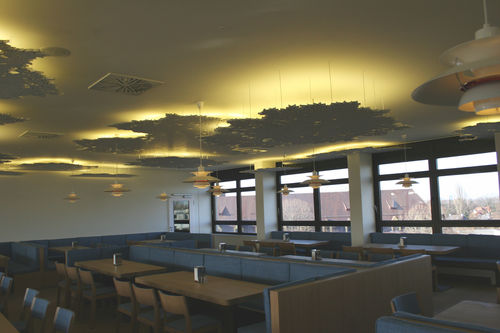 False ceiling acoustic panel - BAVARIAN MEDICAL ASSOCIATION - Bruag Design Factory AG - MDF / rectangular / commercial