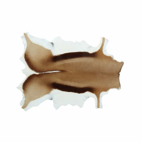 Contemporary rug - GAZELLE - Mambo Unlimited Ideas - patterned / animal skin / rectangular
