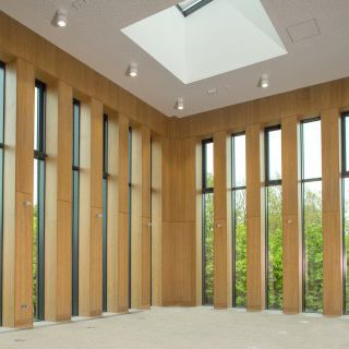 Ceiling acoustic panel - 16/3 - akustik plus Behringen GmbH & Co. KG - for wall / for partition wall / wooden