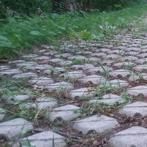Concrete grass grid - Bleijko