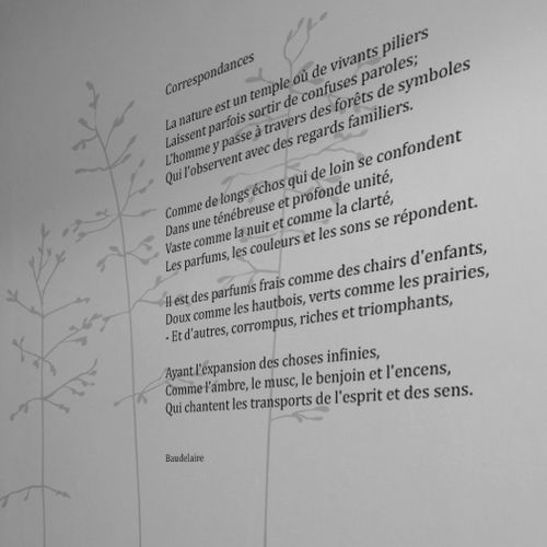 Text wall sticker - POESIE NOCTURNE CORRESPONDANCE - Atelier d'Art Osmoze - Design & décoration murale