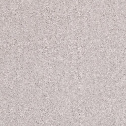 Woven carpet SWANSDOWN SILVER Axminster carpets wool / commercial