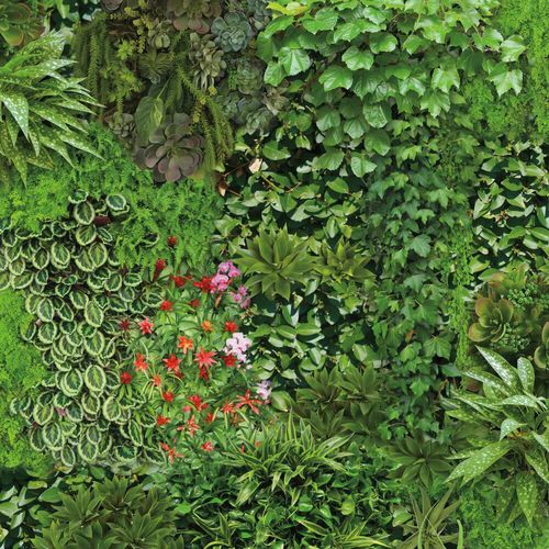 Contemporary wallpaper - Living Wall - York wallcoverings - vinyl / floral / 3D effect