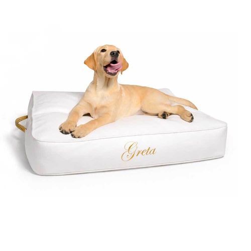 Pet dogs and cats cushion - DOG-CLO series - TRONA - rectangular / plain / home