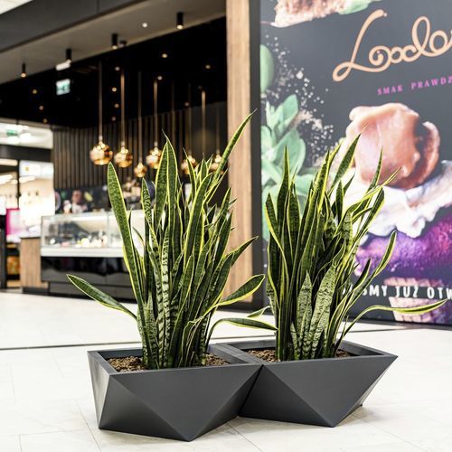 Polyethylene planter - Sagitta - Terra Group - contemporary / for hotel / for restaurant