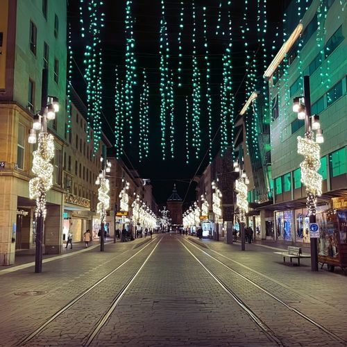 LED Christmas lights - Ribbon Wide - Terra Group - 3D / road / for public space
