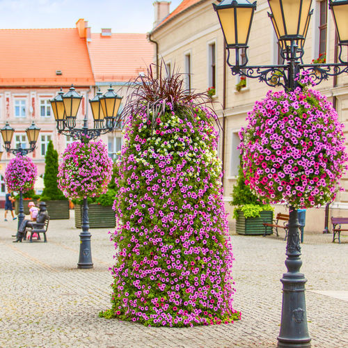 galvanised steel flower tower planter - Terra Group