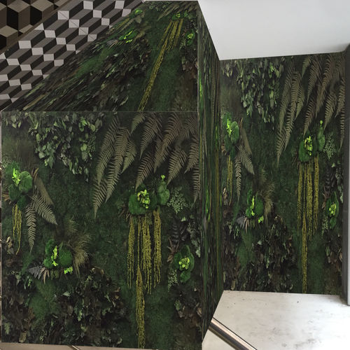 Preserved green wall - PYT Audio - with live plants / modular-panel / custom