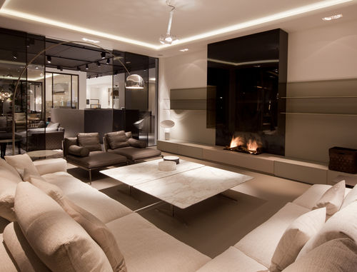 Gas fireplace - 870 - Modus Fireplaces - bioethanol / wood-burning / built-in