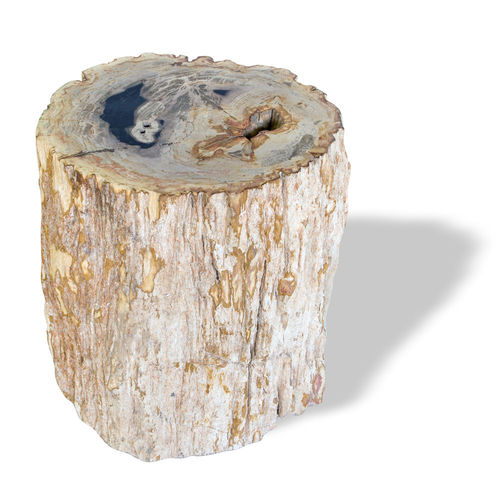 Contemporary stool - SKU: 527 - Unik - petrified wood / commercial / outdoor