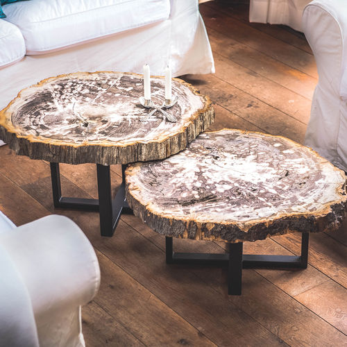 Contemporary coffee table - Unik - petrified wood / steel base / stainless steel base