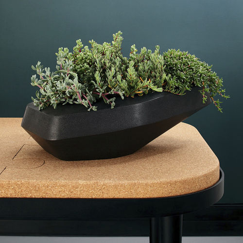 Concrete planter - STEEN - Indigenus - contemporary / outdoor