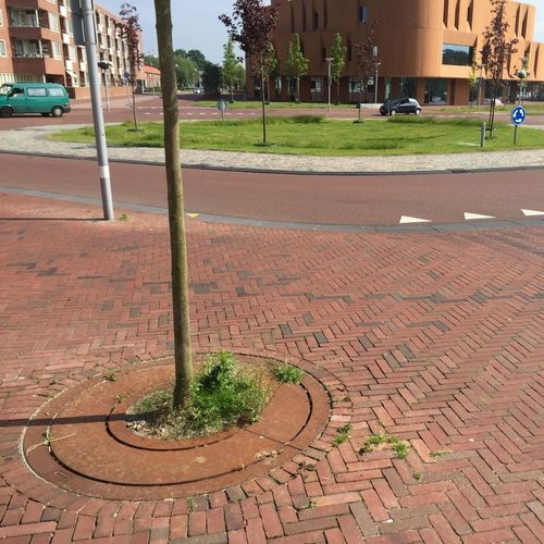 Round tree grate - ROUND - CROSO FRANCE - cast iron / COR-TEN® steel