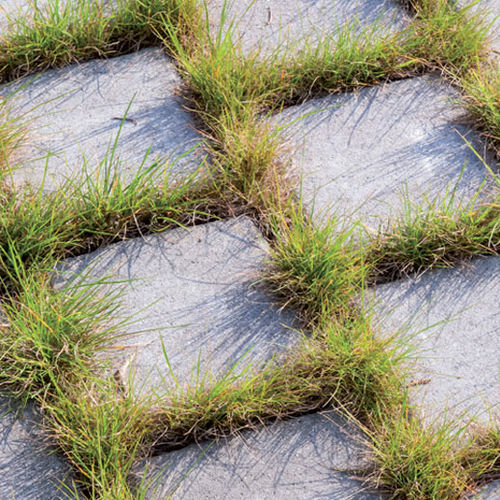 Concrete paver - HERBADRAIN  - Heinrich & Boch - drive-over / anti-slip / drainage