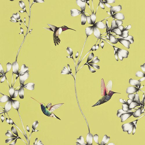 Contemporary wallpaper - Amazilia : HAMA111061 - Harlequin - floral / animal motif / wallpaper look