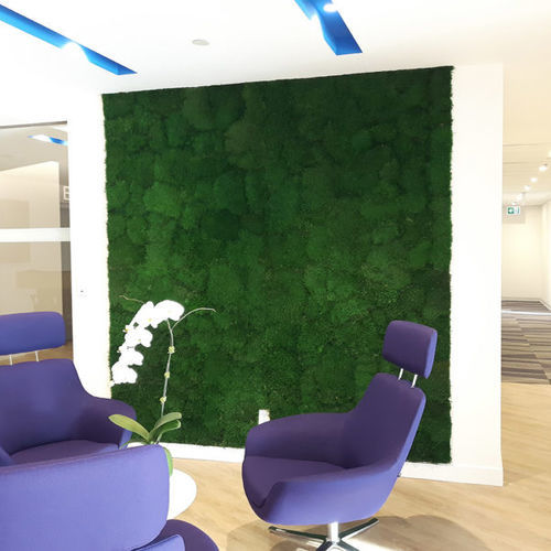 Flat preserved moss - SHEET  - BY NATURE - green wall / for living frame / round