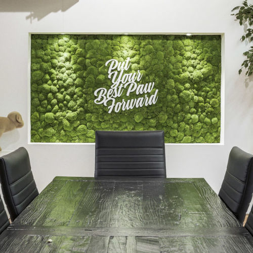 Ball preserved moss - POLE - BY NATURE - green wall / for living frame / round