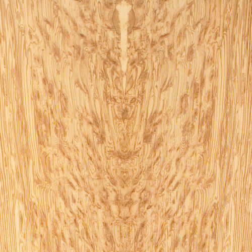 Wooden veneer - PREMIUM : ENGLISH OCELOT - SCHORN&GROH