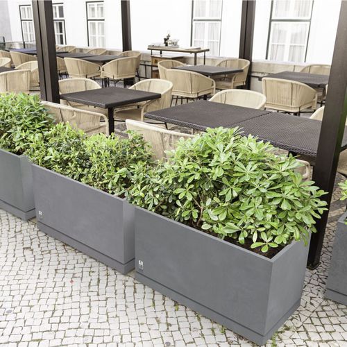 Concrete planter - REGULAR WITH SAUCER - Modern Line - rectangular / square / contemporary