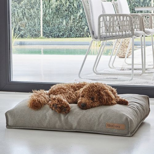 Polyester dog cushion - MARE - MiaCara - gray / sand / rectangular