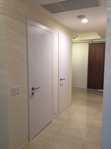 Interior door - FUSION LINE - Dayoris doors - wood veneer / swing / without glazing