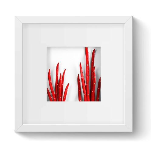 Frame - M3D02 - Le Présent