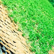 Erosion control geocell - GEOWEB® EROSION CONTROL - Presto Geosystems