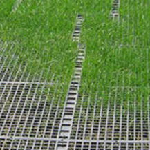 Ground stabilization geogrid - GEORUNNER® TURF - Presto Geosystems - for foundation / polymer
