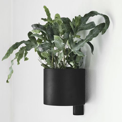 Steel flower pot - KOLLAGE   - Gejst - oak / wall-mounted / other shapes