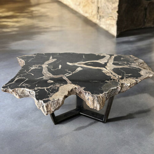 Contemporary coffee table - SENIA - ARRELART - petrified wood / metal base / home