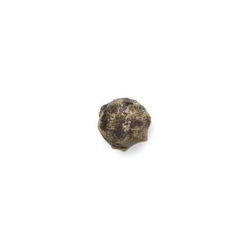 Original design furniture knob - OAK EA1018 - PullCast - brushed brass / polished brass