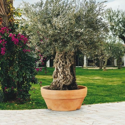 Rotomolded polyethylene planter - ROME : URSUS - MONACIS - round ...