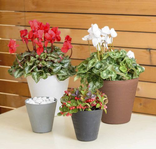 Plastic plant pot - HOOP - TeraPlast - free-standing / round