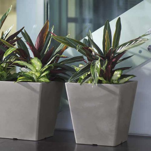 Plastic planter - PASUBIO QUADRO - TeraPlast - square / contemporary / outdoor