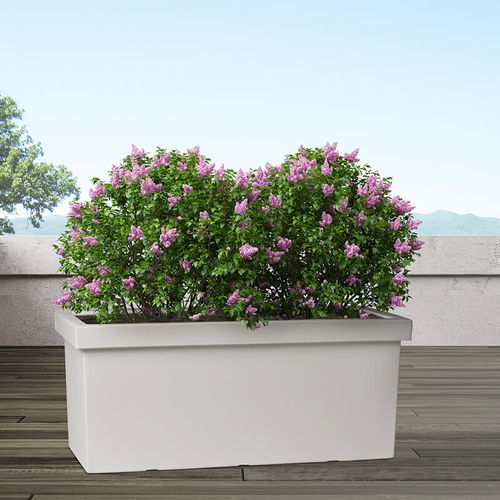 Rotomolded polyethylene planter - Sagitta – ALBA - PASQUINI & BINI - rectangular / custom / contemporary
