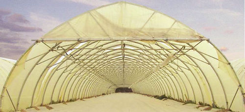 Commercial greenhouse - GOTHIC TUNNEL - CMF GROUPE - gardening / research / single-span