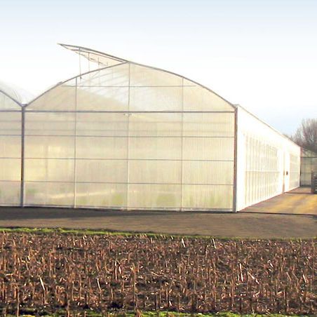 Commercial greenhouse - ESPACE - CMF GROUPE - gardening / open-roof / single-span