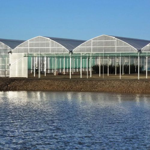 Commercial greenhouse - ATLANTIQUE 11.60M - Serres Jrc - gardening / multi span / plastic