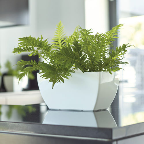 Polypropylene plant pot - SIENA - Artevasi, S.A - rectangular / home