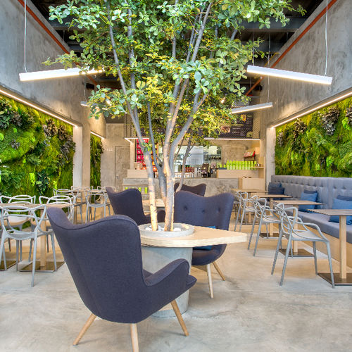 Preserved green wall - MID 3D TBAR - Greenarea - custom / foliage / moss