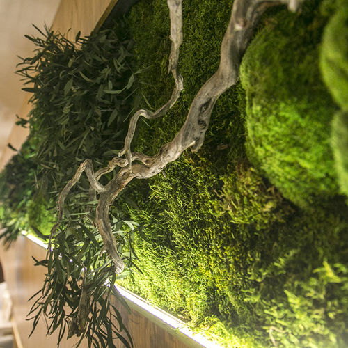 Preserved green wall - MOSS&PLANTS MID 3D  - Greenarea - custom / natural / foliage