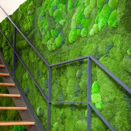 Preserved vertical garden - BASIC MOSS - Greenarea - moss / indoor / bioclimatic