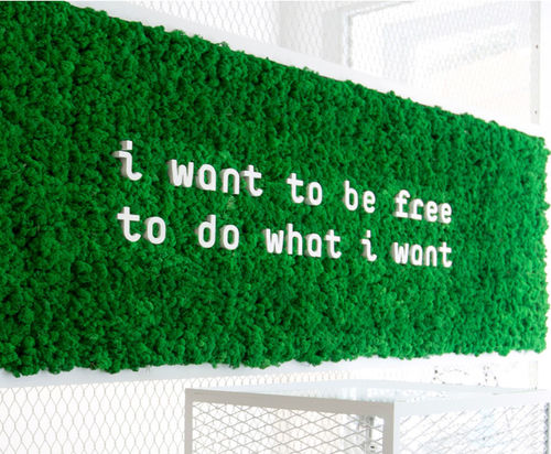 Lichen green wall - CORPORATE GARDENS - Greenarea - preserved / custom / indoor