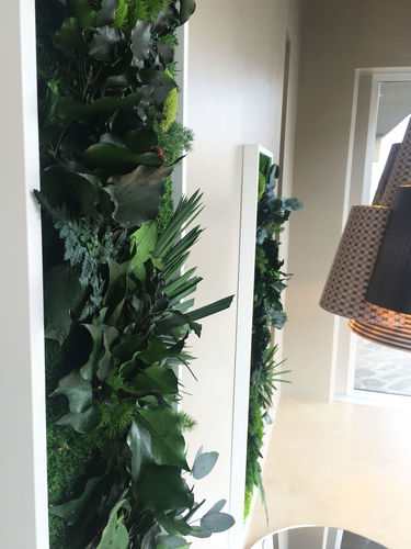 Preserved living frame - PAINTINGS VEGETAL - BM PIANTE STABILIZZATE - moss / foliage / indoor