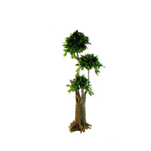 Preserved ornamental plant - SALAL - Végétal Indoor - bonsai / large / indoor