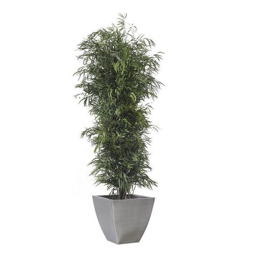 Preserved ornamental plant - NICOLY - Végétal Indoor - eucalyptus / large / indoor